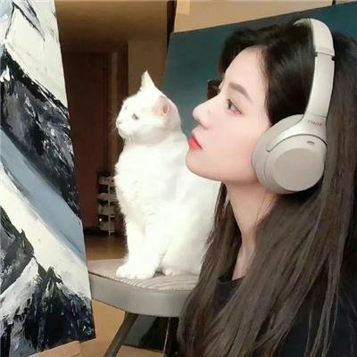 歹徒们